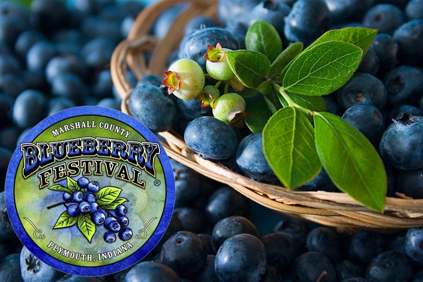 Marshall County Blueberry Festival 2016
