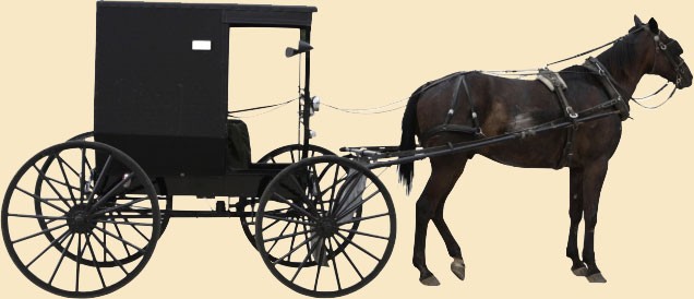 Amish country horse and best sale buggy ride