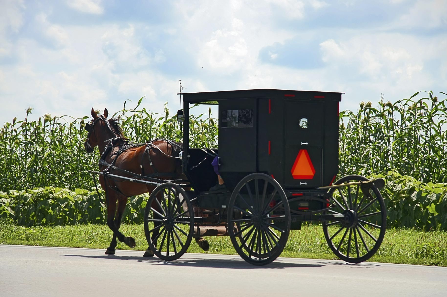 Learn the Amish-Mennonite Story at Menno-Hof