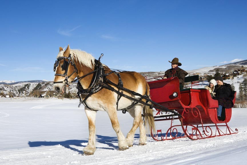 Enjoy a Northern Indiana Sleigh Ride!