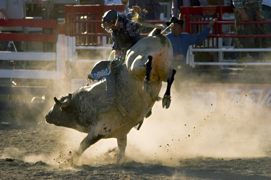 Attend the 2016 St. Joseph County 4H Fair!