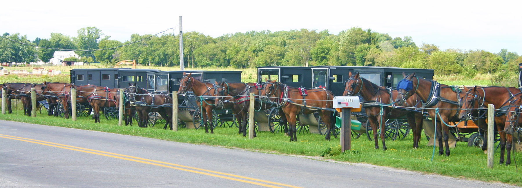 Amish Parking