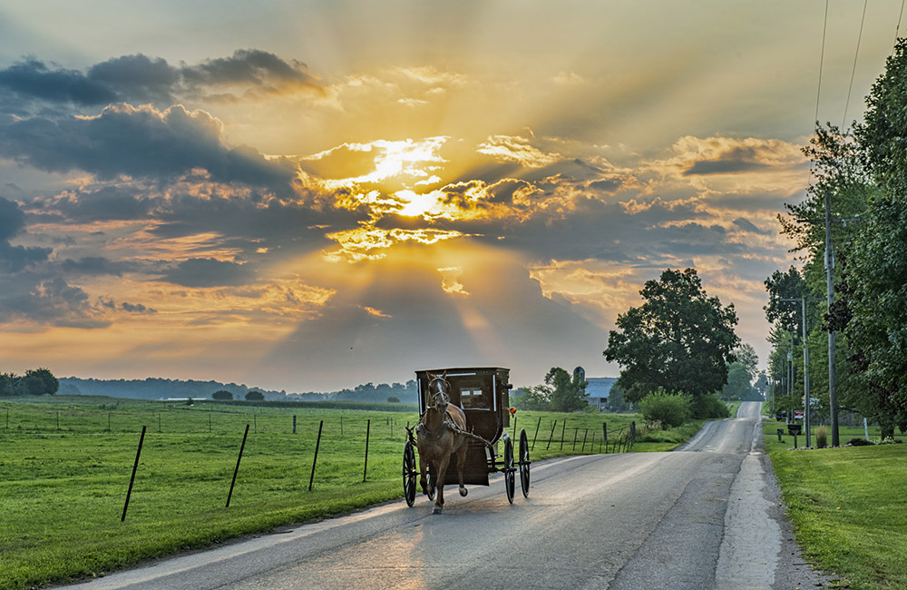 Amish Buggy and Sunbeams