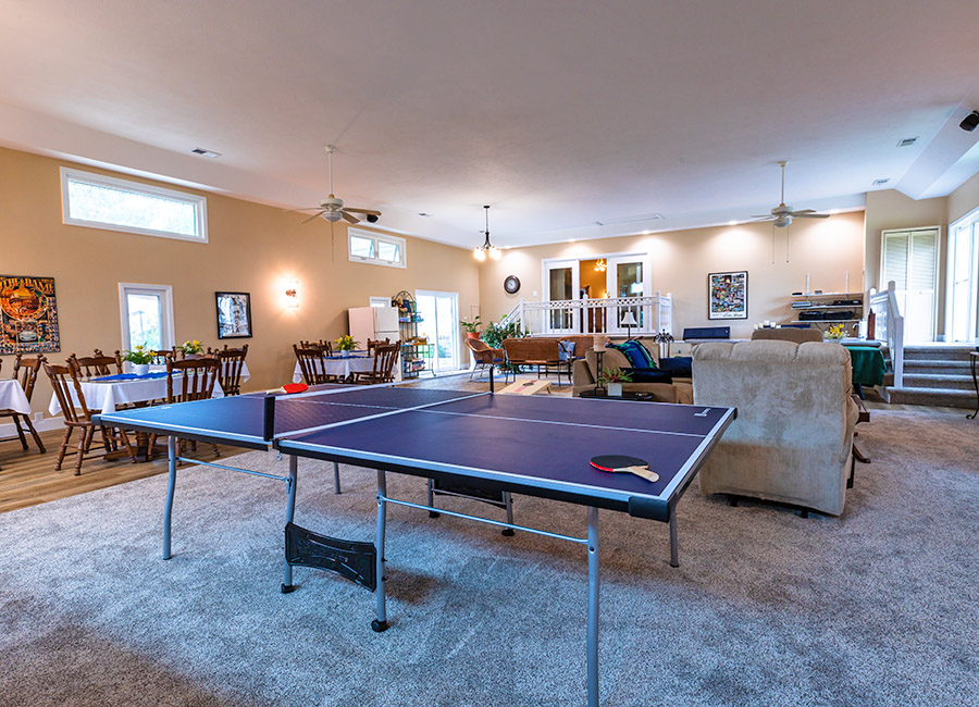 Entertainment Games Room ping pong