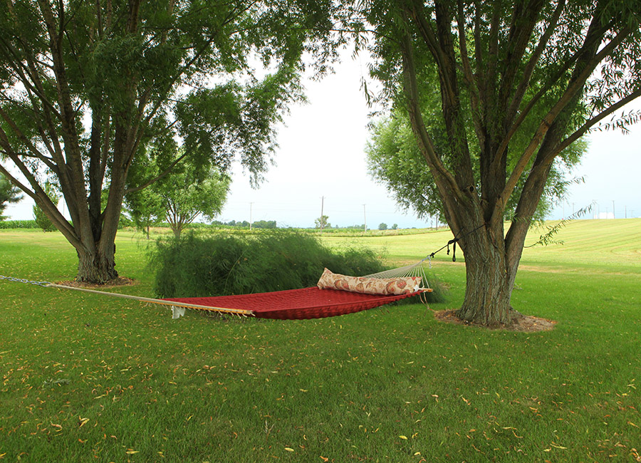 hammock view to fields