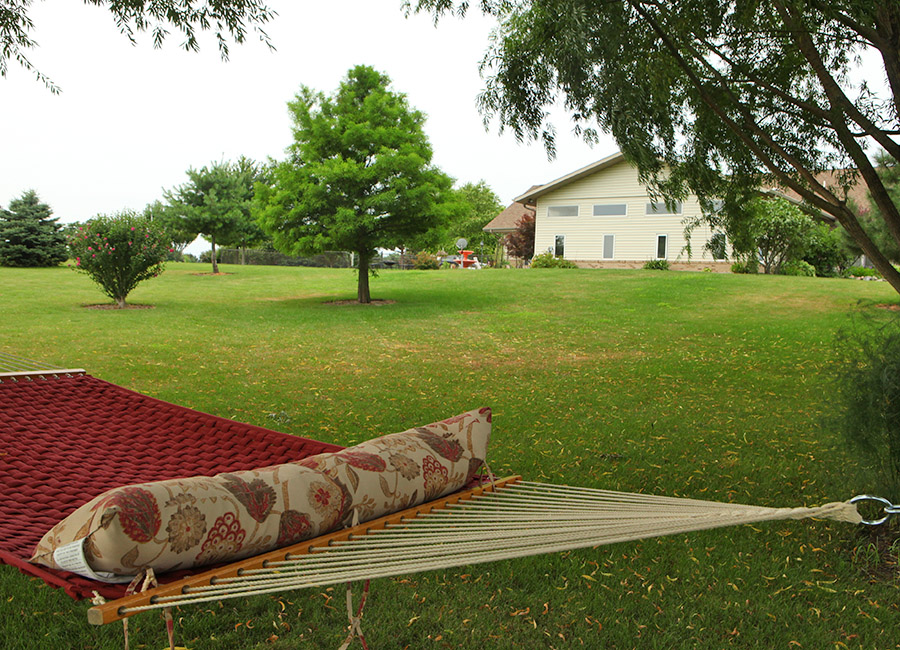 hammock with view back to house