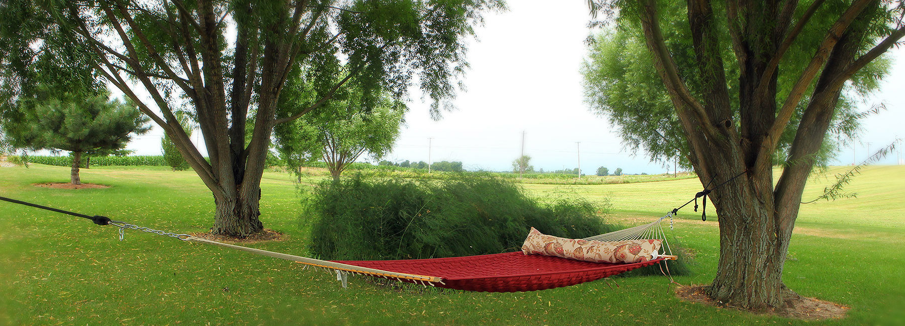 Hammock