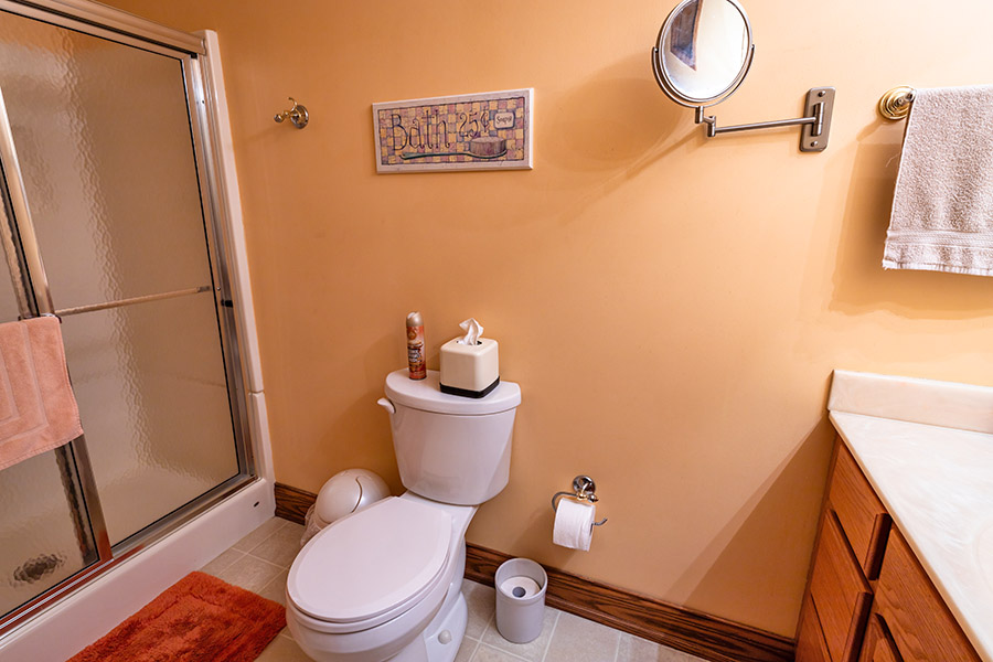 Loft Room bathroom shower