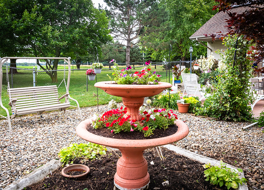 Flowers in fountain